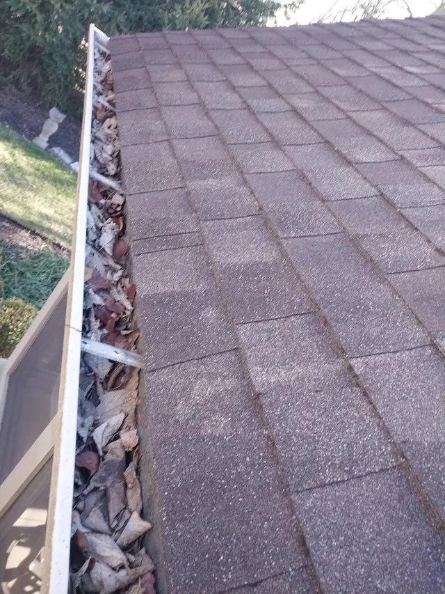 Roof-edge gutter packed with leaves and debris
