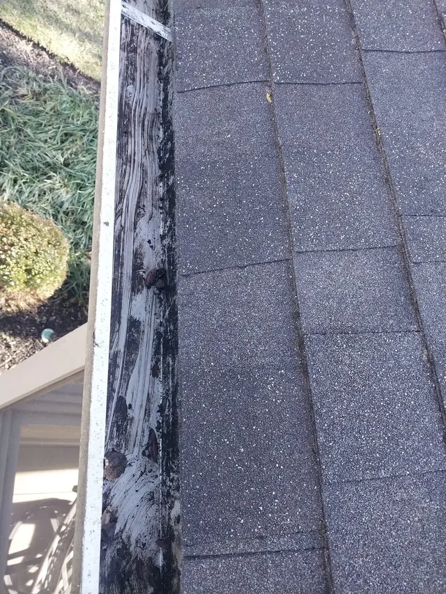 Roof-edge gutter run with dark residue along the trough